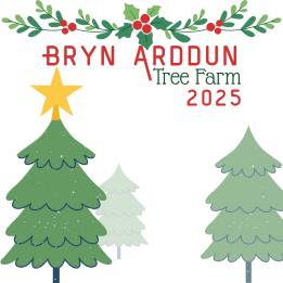 Bryn Arddun Logo
