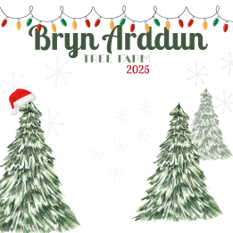 Bryn Arddun Logo